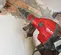 Red and black HILTI Demolition Hammer, 15-19 lbs., Electric Powered