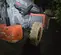 2017 Skyjack SJ1056TH Forklift
