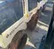 2019 Dynapac D.ONE Double Drum Roller
