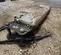 2019 Epiroc EC 140T Attachment