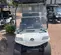 2022 EVOLUTION CLASSIC 4 PRO Utility Vehicle
