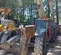 2017 JLG 1255 Forklift