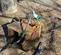 2017 Atlas Copco SB 452 Attachment