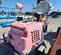 2017 Magnum Pro MLT6SK Portable Light Tower