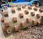 2015 BOMAG B-5 Drum Roller