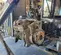 2018 BISOMAC BISO308-1000L Hoist