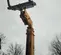 2017 JCB 512-56 S Forklift