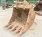 2015 TAG Manufacturing 60330X2 Bucket Attachment
