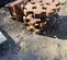 2017 Americ DC-24BLWP Compaction Attachment