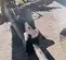 2019 Epiroc EC 140T Attachment