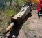 2019 Epiroc EC 150T Attachment