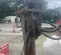 2019 Wacker Neuson NE42 Attachment
