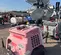 2017 Magnum Pro MLT6SK Portable Light Tower
