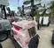 2017 Magnum Pro MLT6SM Portable Light Tower