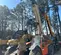 2017 JLG 1255 Forklift
