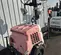 2017 Magnum Pro MLT6SK Portable Light Tower