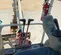 2019 Takeuchi TB216 Mini Excavator