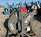 2012 Wacker Neuson HHS3002 Heater