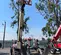 2017 JLG 1255 Forklift