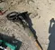 2021 Toro 23135 Attachment
