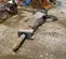 2019 Epiroc EC 140T Attachment