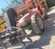 2016 SKYTRAK 8042 Forklift